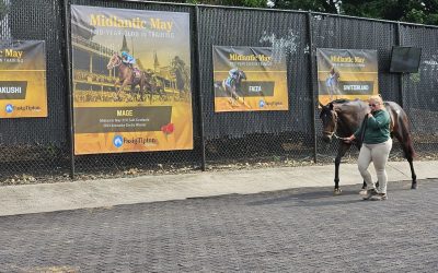 Fasig-Tipton Midlantic 2yo sale: By the numbers