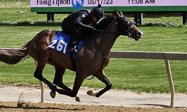 Fasig-Tipton alters 2-year-old sale protocol