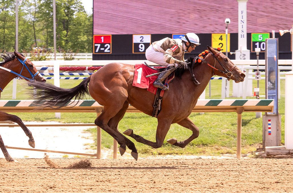 Salzman barn has clean sweep of Laurel juvenile races