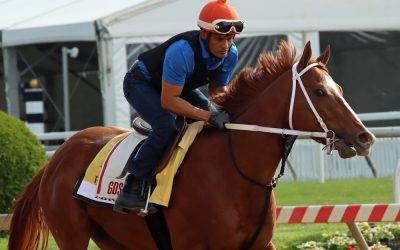 Mage will bypass Breeders’ Cup Classic