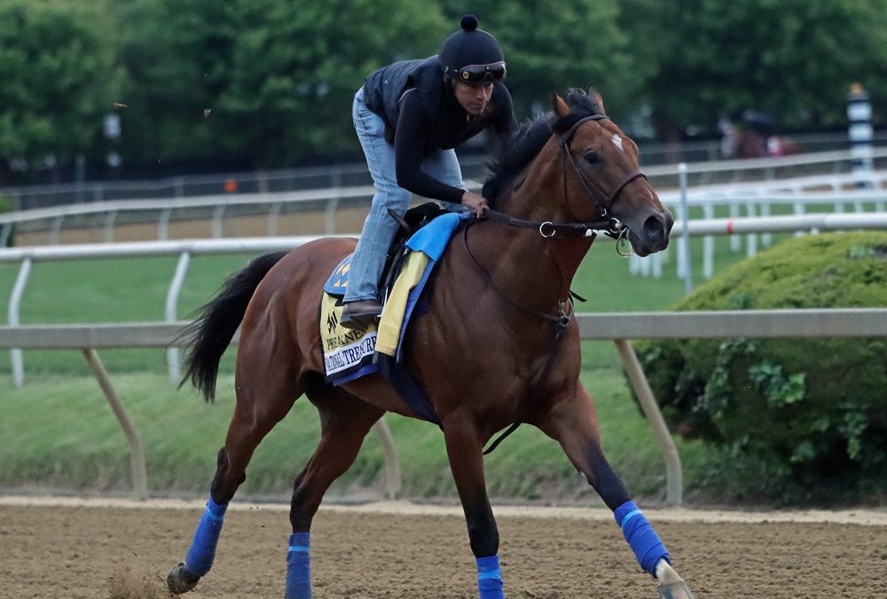 Preakness profile: National Treasure