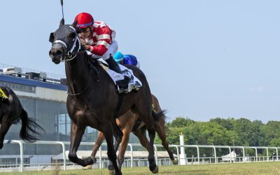 Sheldon Russell, Paco Lopez, Joel Rosario share jockey of the week