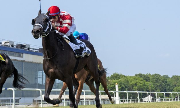 Bosserati earns first stake win in Stormy Blues