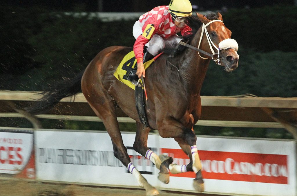 Great Spirit looks to stretch out in Bishop