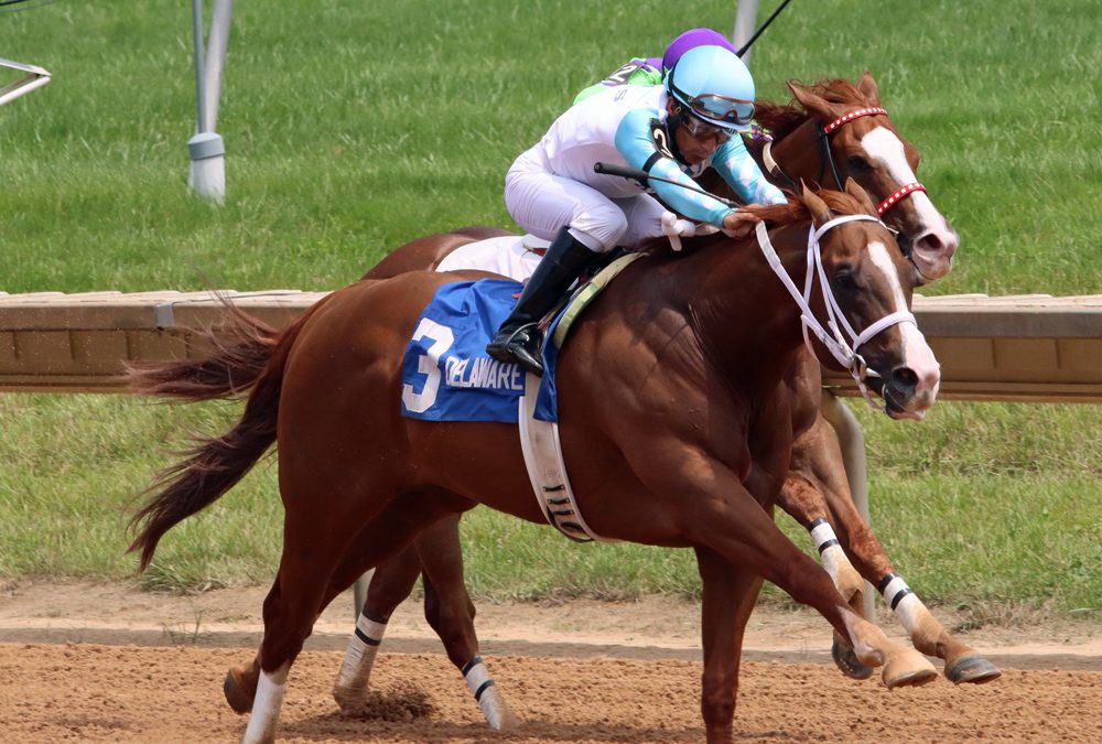 Laurel Park to go forward with De Francis card
