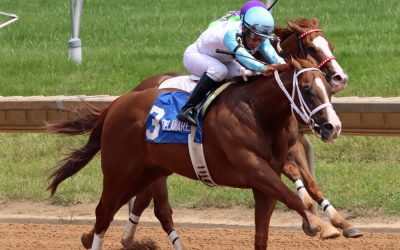 Lightening Larry prevails in Alapocas Run