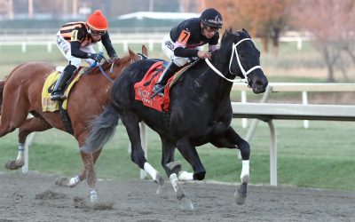 Delaware: Salty group set for Battery Park