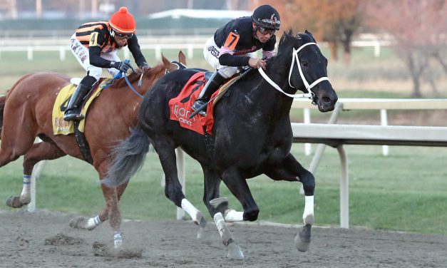 Delaware: Salty group set for Battery Park