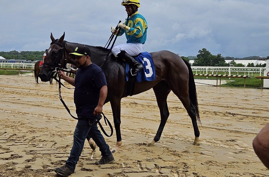 Laurel: Trainer Jamie Ness earns 4,000th win
