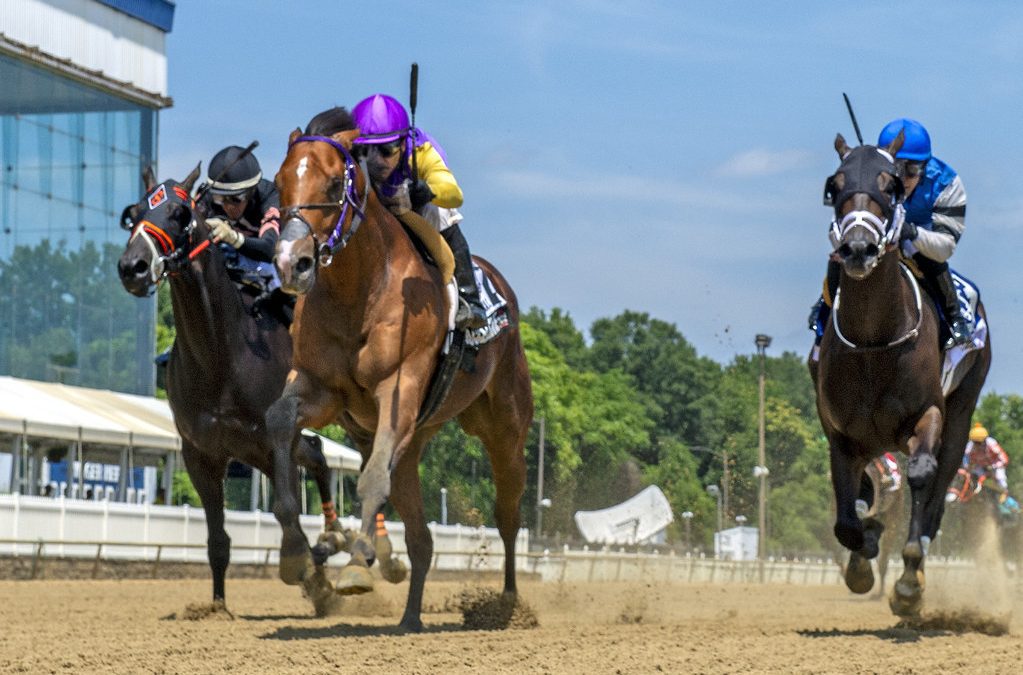 Super Accelerate looks to rev up big effort in Hilton Memorial