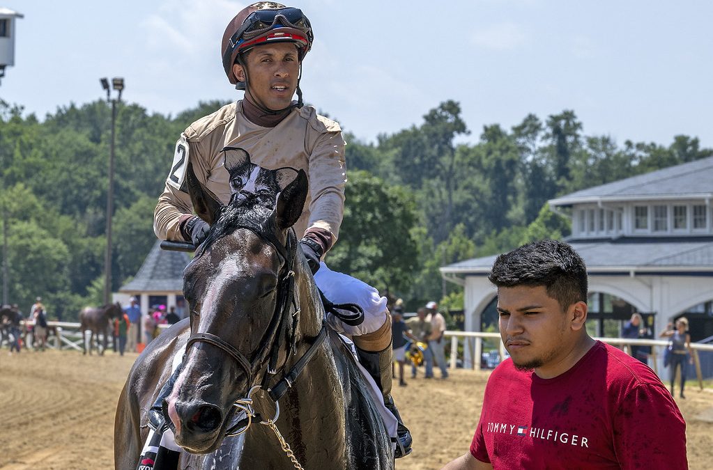Plan ahead and plenty of water: riders, trainers beat the heat