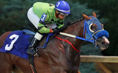 Tough field to meet in Fancy Buckles