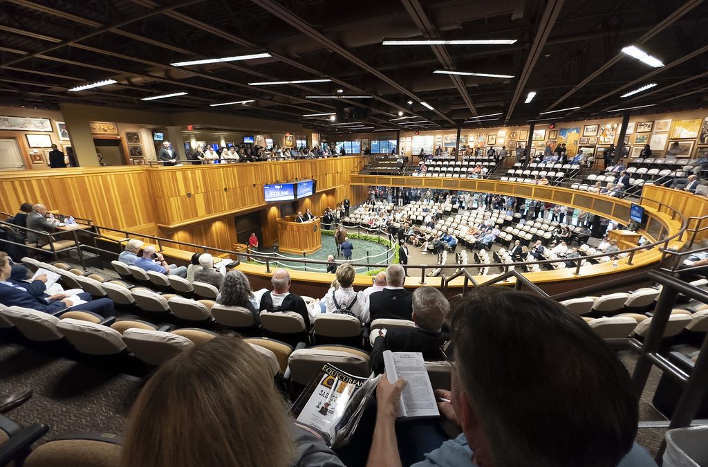 “What everybody dreams of”: Maryland farms hit Saratoga sale