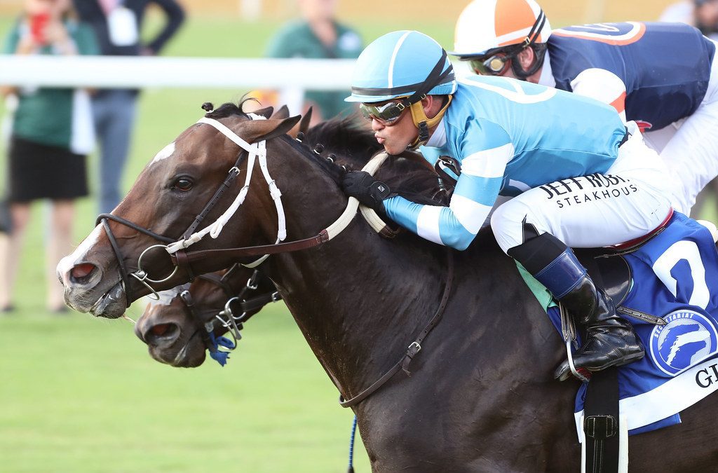 Gigante tabbed Va-bred Horse of the Year