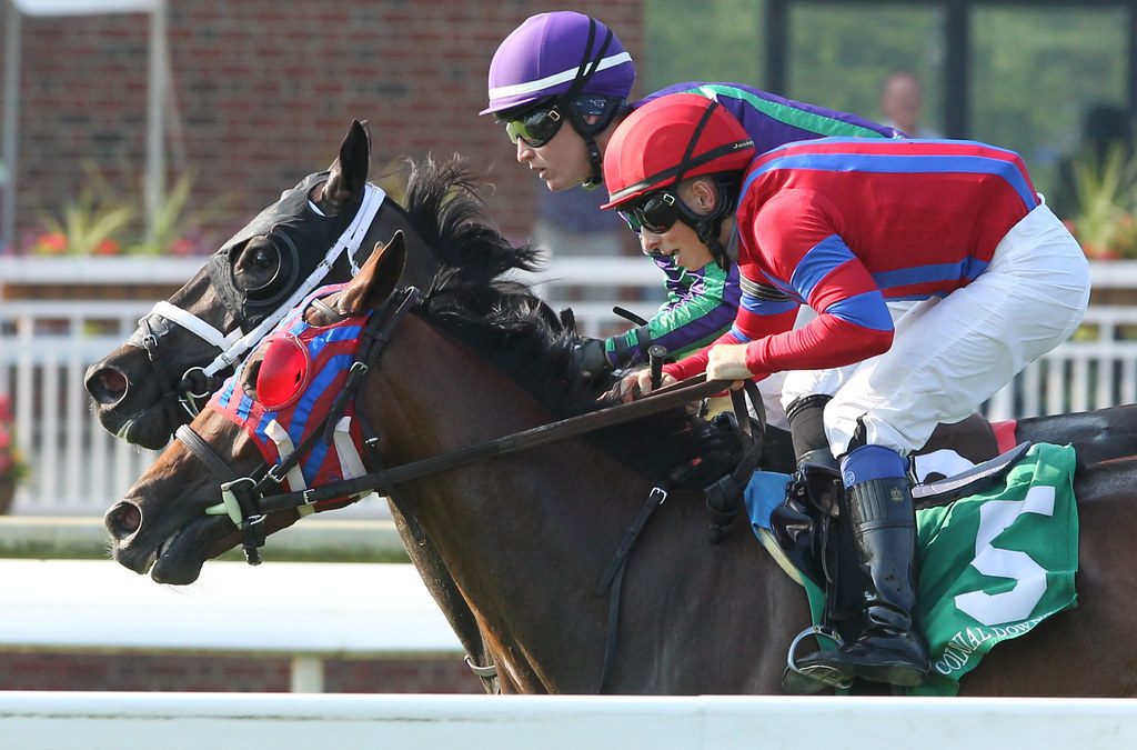 No looking back for chef-turned-jockey Gavin Ashton