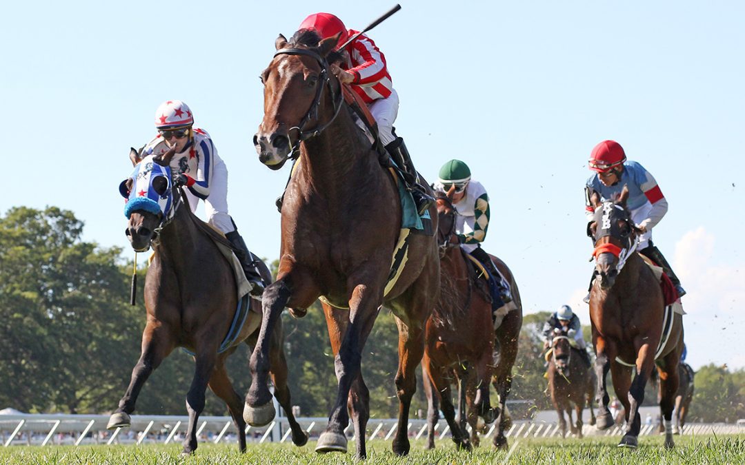 Highestdistinction looks for hat trick in G3 BWI Turf Cup