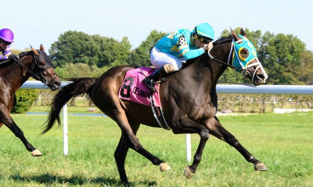 Penn National, Delaware to postpone turf stakes