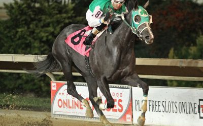 WVBC: Cyndy McKee “staying busy,” and then some