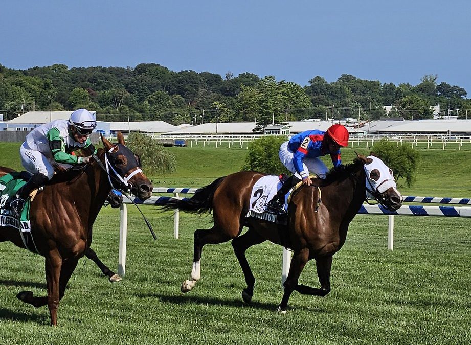 Delaware: Digging into Owners Day stakes