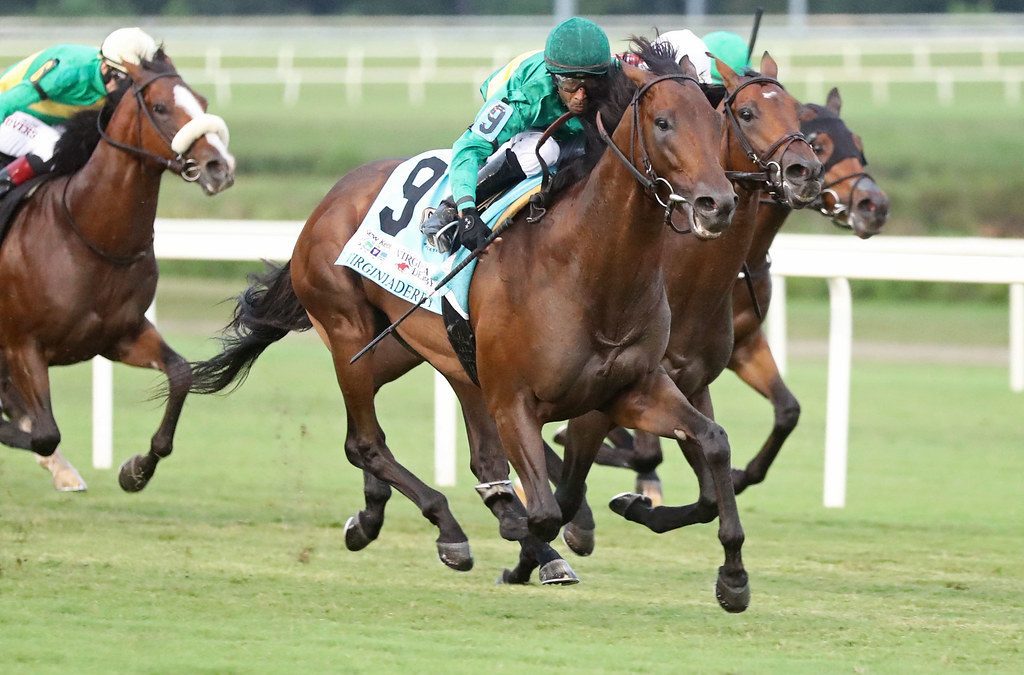 Arlington Million field starting to take shape