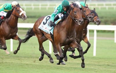 Arlington Million field starting to take shape