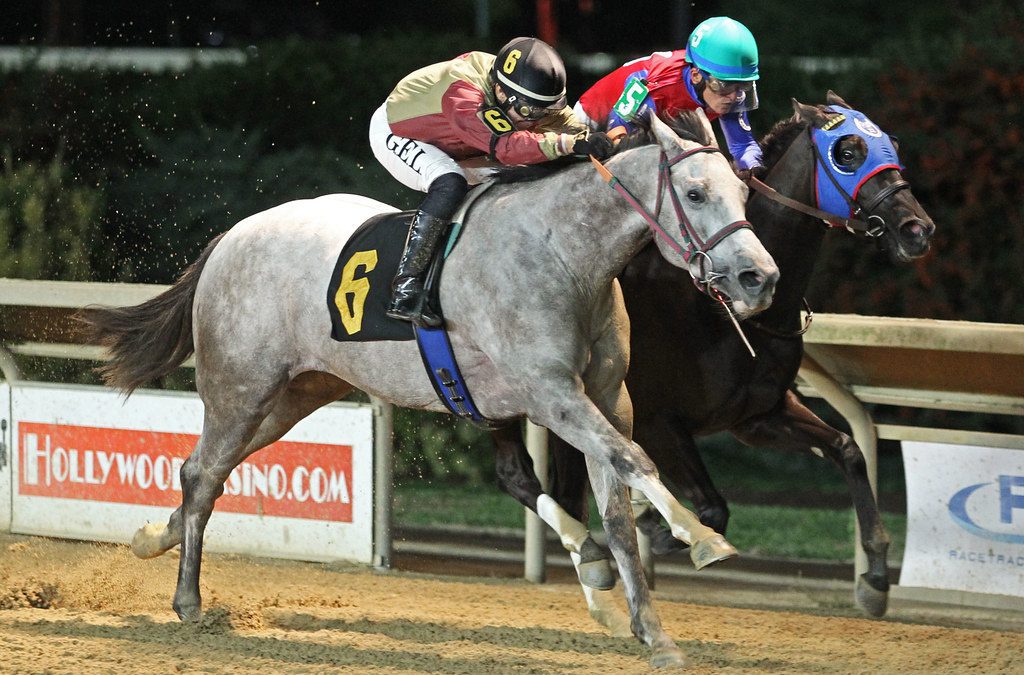 Jubawithatwist, King Kontie meet again in WV Futurity