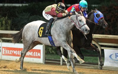 Jubawithatwist, King Kontie meet again in WV Futurity