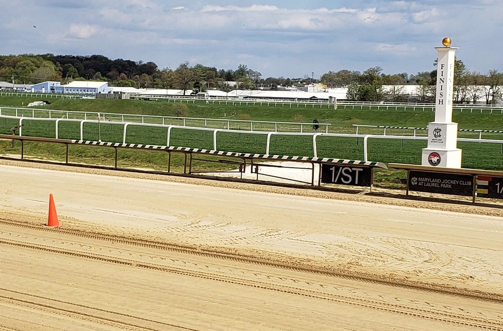 Maryland Jockey Club names new director of racing surfaces