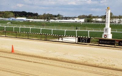 Maryland Jockey Club names new director of racing surfaces
