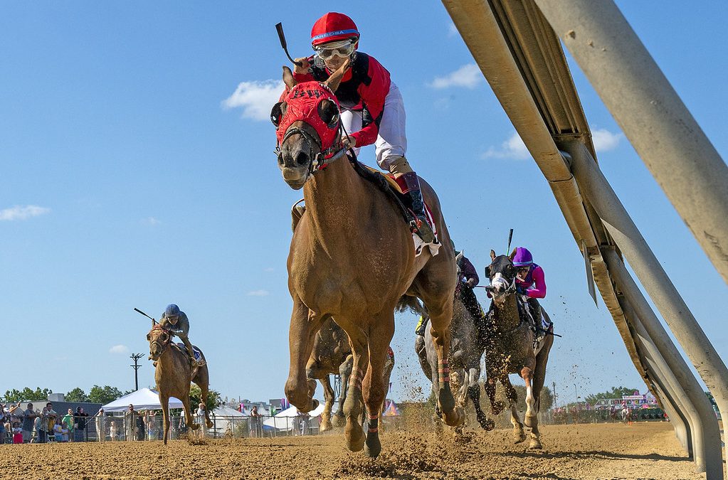 Two-year-olds set for final Laurel Park stakes of 2023