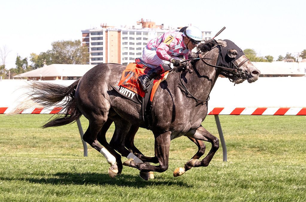 Witty pointed to Maryland Million Turf Sprint defense