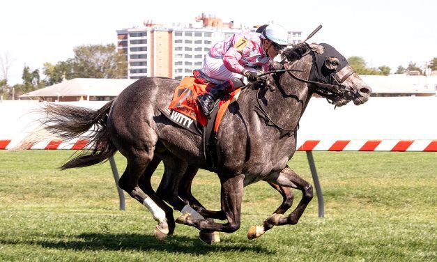 “Life-changing” Witty looks live in McKay Turf Sprint