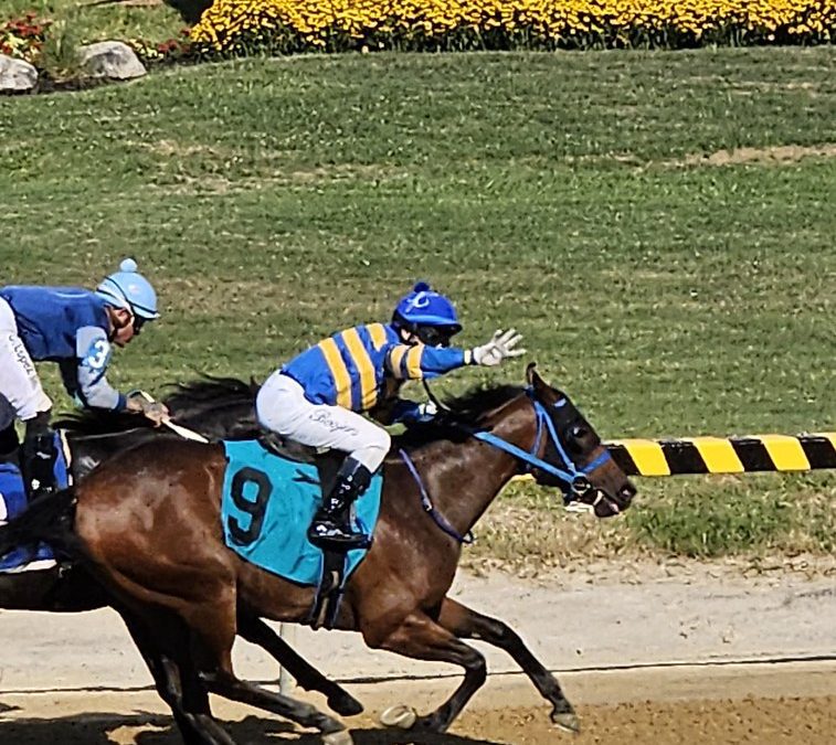 Robbs, Perez take Big T titles