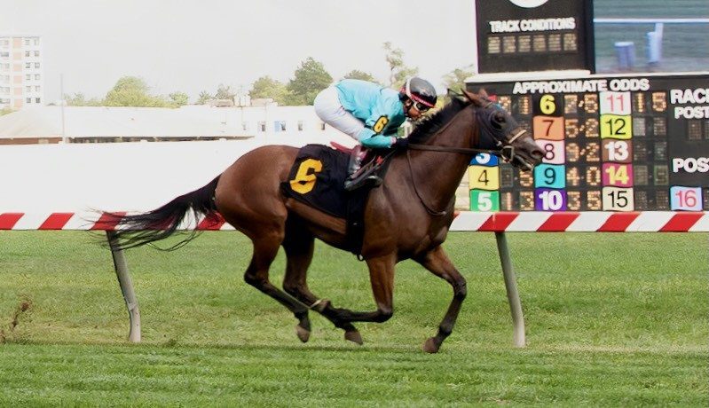 Bandonarun sells for $330,000 at Wanamaker’s October