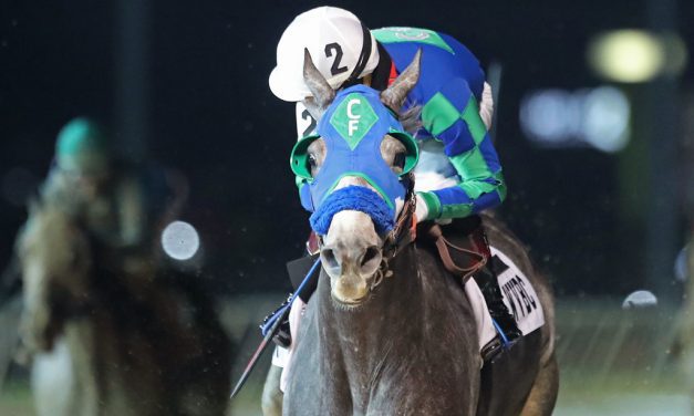 Coastal Mission repeats as WV-bred Horse of the Year