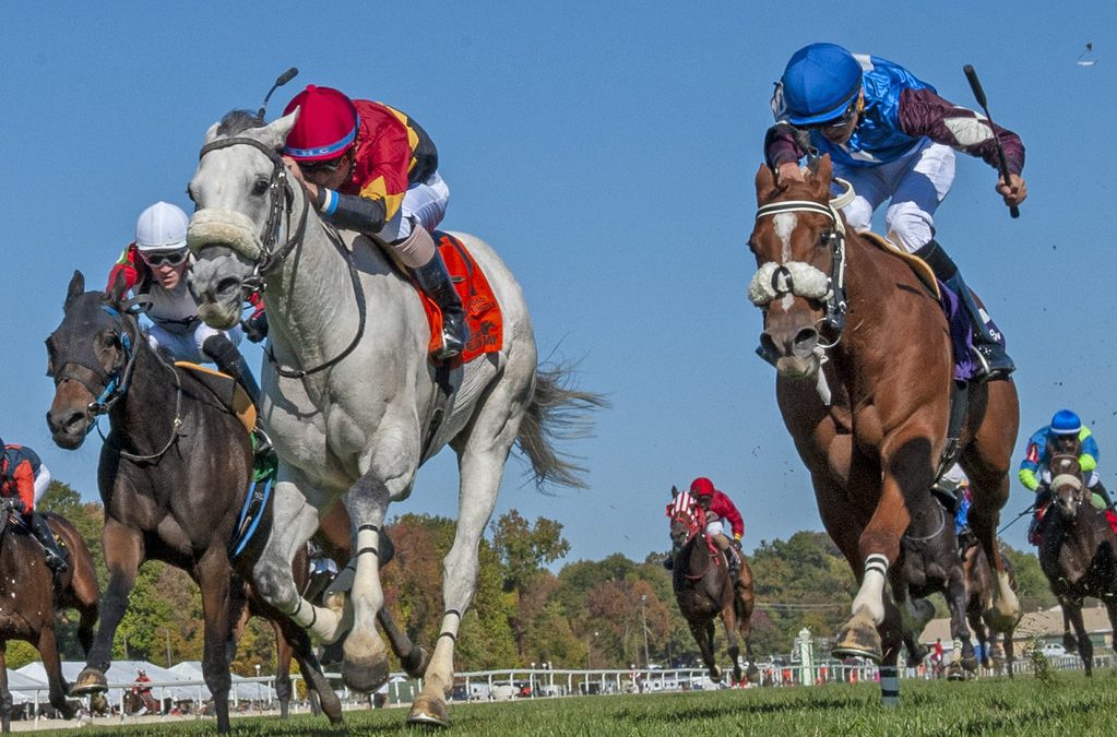 Laurel Park jockeys and trainers to watch