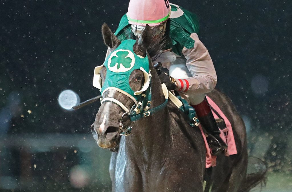 WVBC: McKee hopes pair of runners will repeat