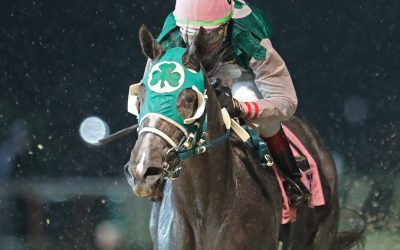 WVBC: McKee hopes pair of runners will repeat