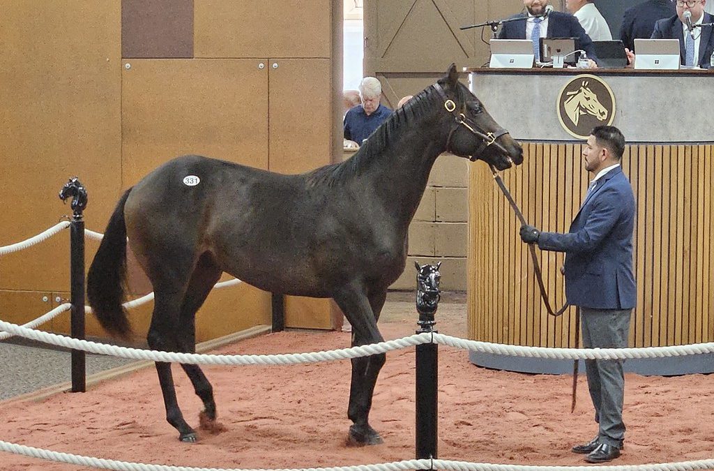 Fasig-Tipton yearling sale set for October 1