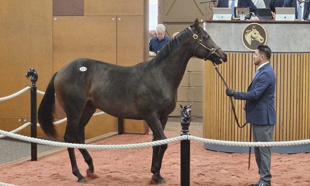 Fasig-Tipton yearling sale set for October 1