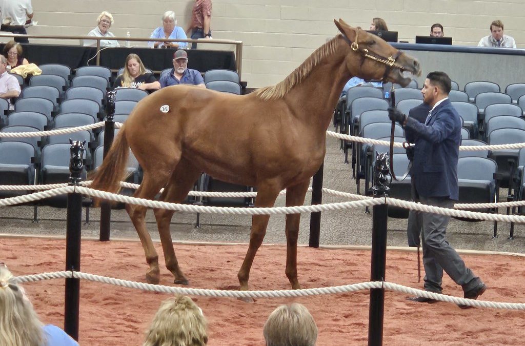 Fasig-Tipton mixed sale set for Tuesday afternoon