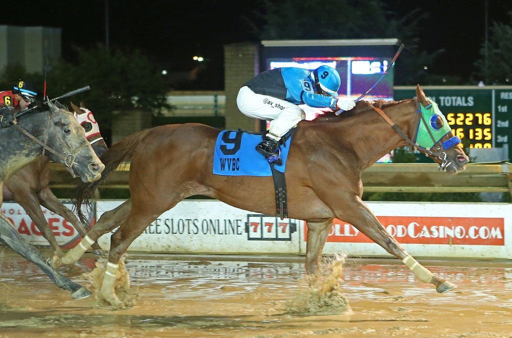 Ageless Penguin Power could extend WVBC streak