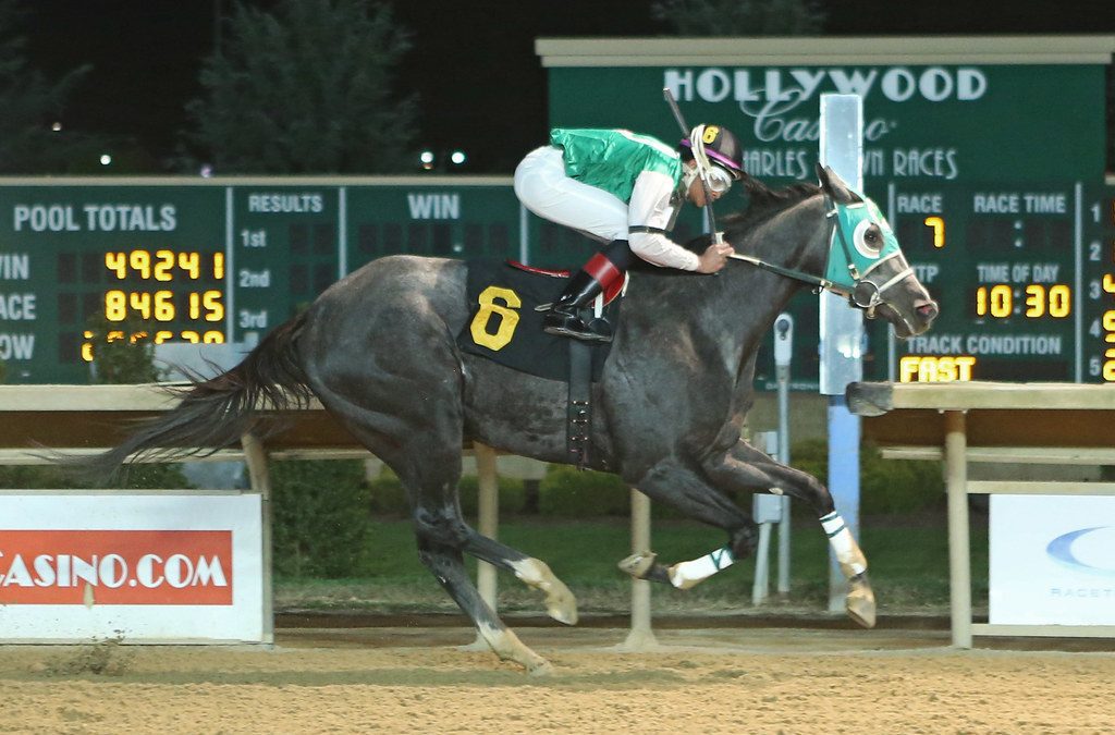 Direct the Cat romps in Casey Memorial