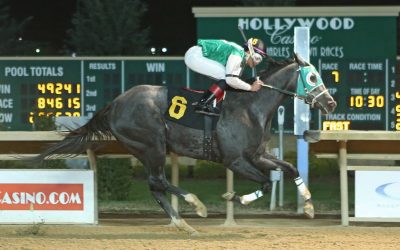 Direct the Cat romps in Casey Memorial