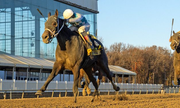 Mid-Atlantic Three Stars: November 27