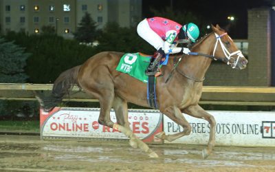 Someday Is Today back for more in My Sister Pearl