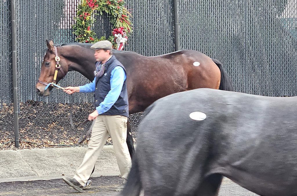 Wanamaker’s PA-bred catalog available