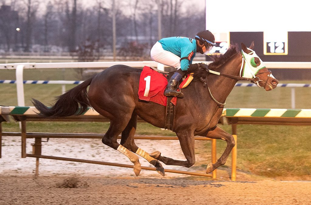 Lacey Gaudet hoping hot streak continues in What a Summer