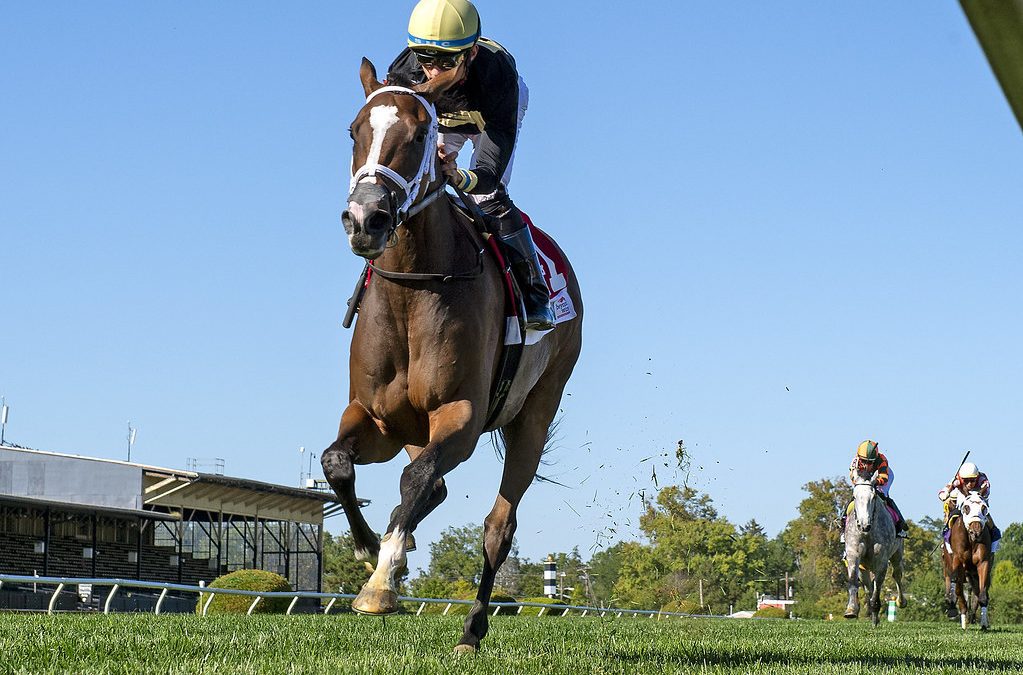 Full Count Felicia to try her luck in Pegasus Filly and Mare Turf