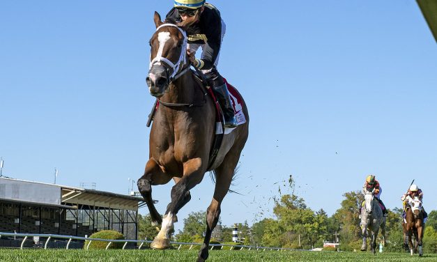 Full Count Felicia to try her luck in Pegasus Filly and Mare Turf